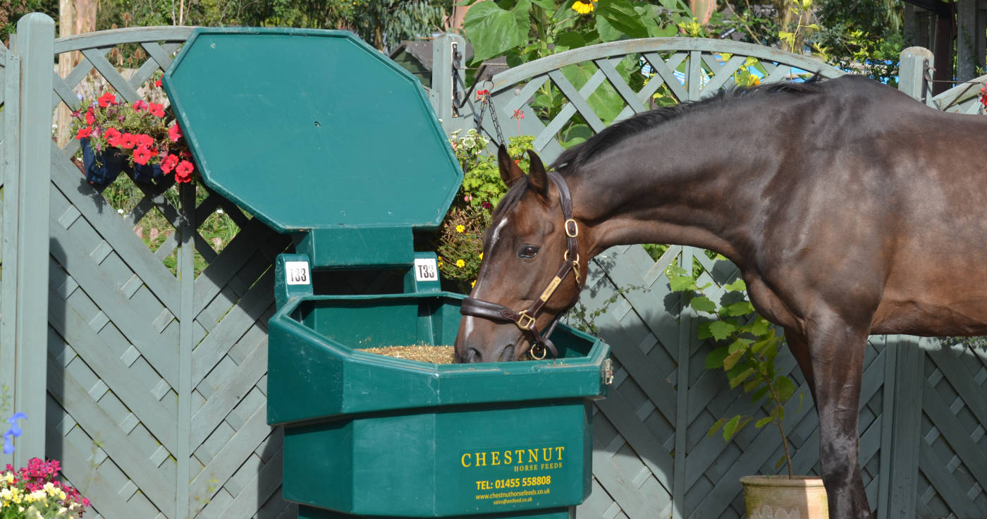 25% Off Your First Chestnut Bulk Bin. Subject to Terms and Conditions.