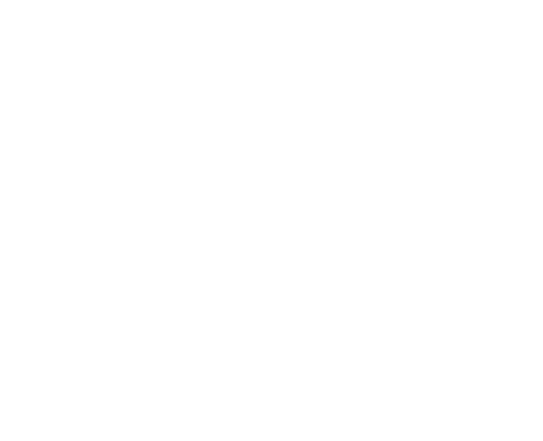 An icon of the Twitter bird